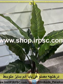 درختچه باباآدم مصنوعی متوسط