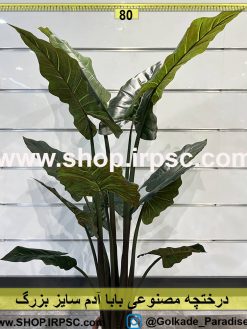 خرید درختچه بابا آدم 150سانتیمتری مدل لمسی