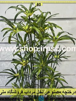 درختچه نخل مرداب مصنوعی