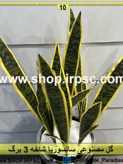 گل مصنوعی سانسوریا 3برگ درجه یک لمسی