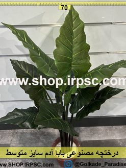 درختچه باباآدم مصنوعی متوسط