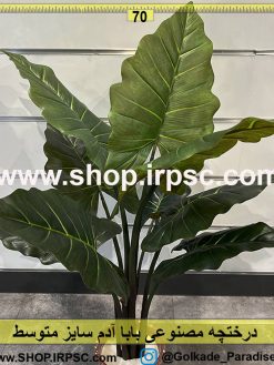 درختچه باباآدم مصنوعی متوسط