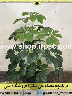 نمای بالای درختچه مصنوعی شفلرا کدIRPSC015