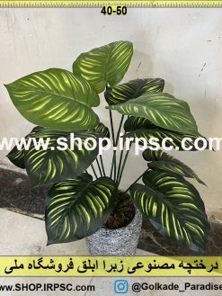 نمای بالای درختچه مصنوعی زبرا ابلق کدIRPSC017