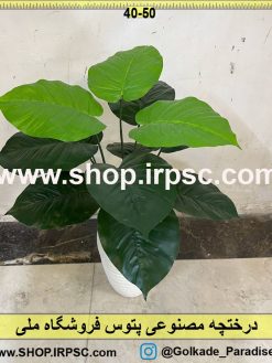 نمای بالای درختچه مصنوعی پتوس کدIRPSC020