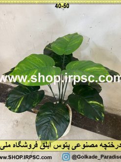 نمای بالای درختچه مصنوعی پتوس ابلق کدIRPSC021