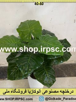 نمای بالای درختچه مصنوعی آلوکازیا کدIRPSC022