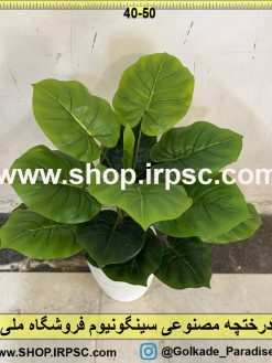 نمای بالای درختچه مصنوعی سینگونیوم کدIRPSC025