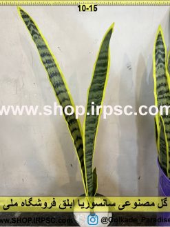 نمای بالای گل مصنوعی سانسوریا ابلق کدIRPSC002