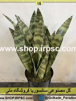 نمای بالای گل مصنوعی سانسوریا کدIRPSC004