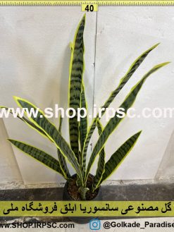 نمای بالای گل مصنوعی سانسوریا ابلق کدIRPSC007