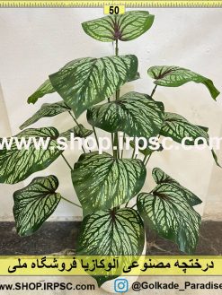 نمای بالای درختچه مصنوعی آلوکازیا ابلق کد IRPSC009