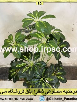 نمای بالای درختچه مصنوعی شفلرا ابلق کد IRPSC012