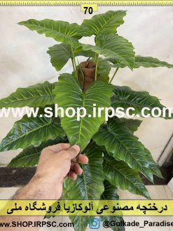 برگ درختچه مصنوعی آلوکازیا کد IRPSC003