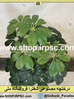 برگ درختچه مصنوعی شفلرا کدIRPSC015