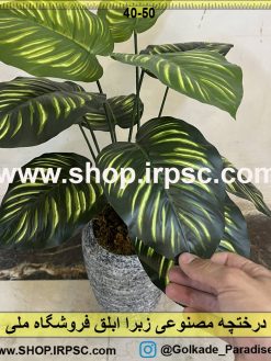 برگ درختچه مصنوعی زبرا ابلق کدIRPSC017