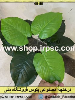 برگ درختچه مصنوعی پتوس کدIRPSC020