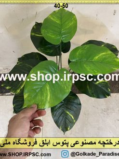 برگ درختچه مصنوعی پتوس ابلق کدIRPSC021