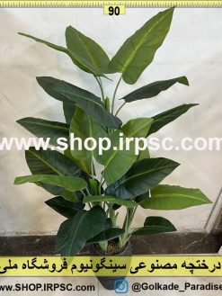 نمای بالا درختچه مصنوعی سینگونیوم کد IRPSC006