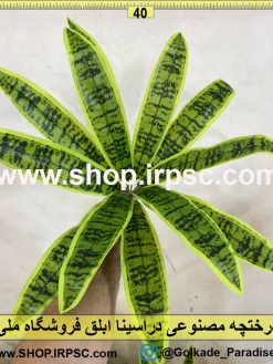 برگ درختچه مصنوعی دراسینا ابلق کدIRPSC026