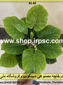 برگ درختچه مصنوعی سینگونیوم کدIRPSC025
