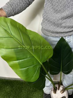 برگ درختچه مصنوعی آلوکازیا (بابا آدم) 1.2 متری