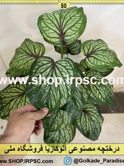 برگ درختچه مصنوعی آلوکازیا ابلق کد IRPSC009