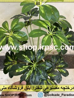 برگ درختچه مصنوعی شفلرا ابلق کد IRPSC012