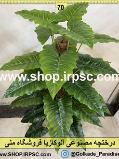 نمای نزدیک درختچه مصنوعی آلوکازیا کد IRPSC003