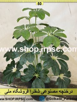 نمای کلی درختچه مصنوعی شفلرا کدIRPSC015