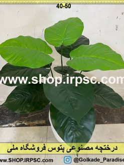 نمای نزدیک درختچه مصنوعی پتوس کدIRPSC020
