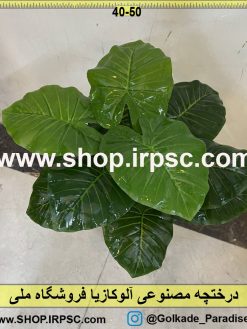 نمای نزدیک درختچه مصنوعی آلوکازیا کدIRPSC022