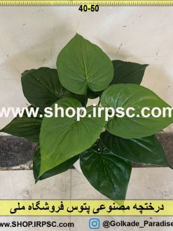نمای نزدیک درختچه مصنوعی پتوس کدIRPSC024