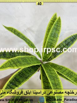 نمای نزدیک درختچه مصنوعی دراسینا ابلق کدIRPSC026