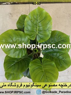 نمای نزدیک درختچه مصنوعی سینگونیوم کدIRPSC025