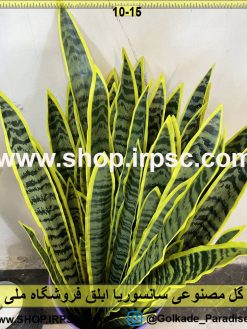 نمای نزدیک گل مصنوعی سانسوریا ابلق کدIRPSC002