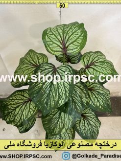 نمای نزدیک درختچه مصنوعی آلوکازیا ابلق کد IRPSC009