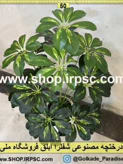 نمای نزدیک درختچه مصنوعی شفلرا ابلق کد IRPSC012
