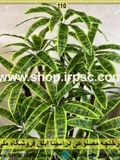 نمای نزدیک درختچه مصنوعی دراسینا ابلق کد IRPSC001