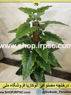 نمای بالای درختچه مصنوعی آلوکازیا کد IRPSC003