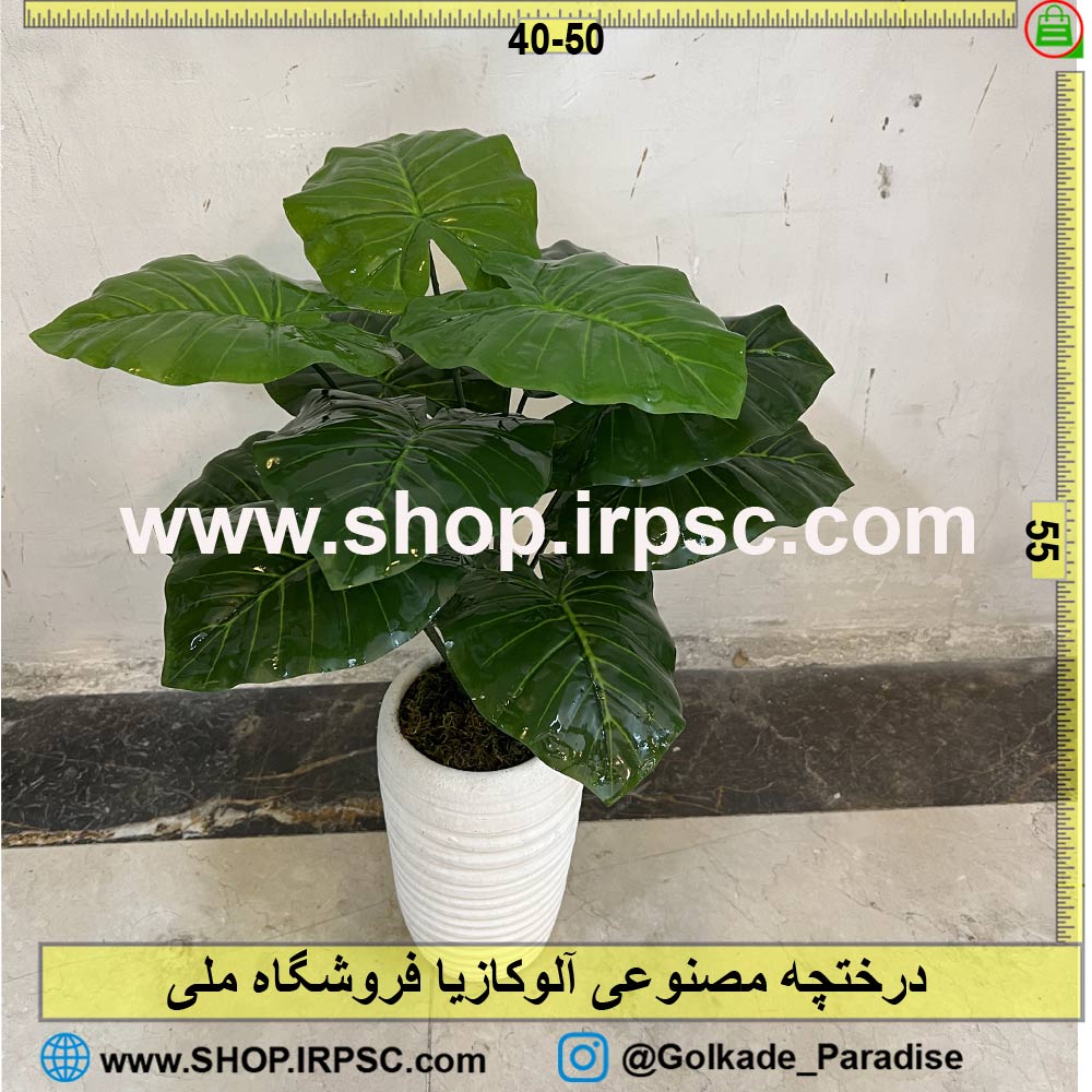 خرید درختچه مصنوعی آلوکازیا کدIRPSC022