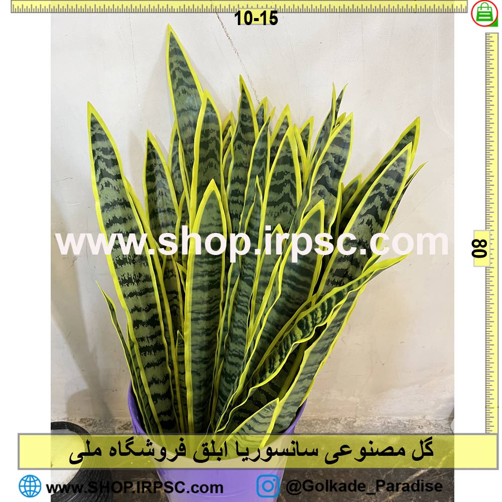 خرید گل مصنوعی سانسوریا ابلق کدIRPSC002