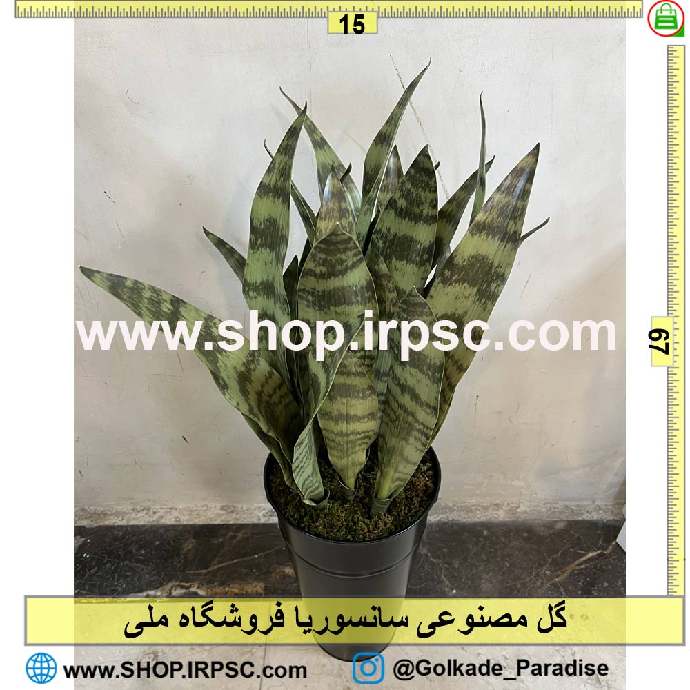 خرید گل مصنوعی سانسوریا کدIRPSC004