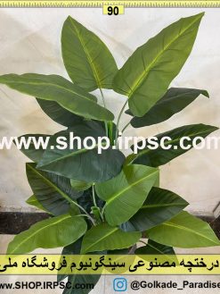 نمای نزدیک درختچه مصنوعی سینگونیوم کد IRPSC006