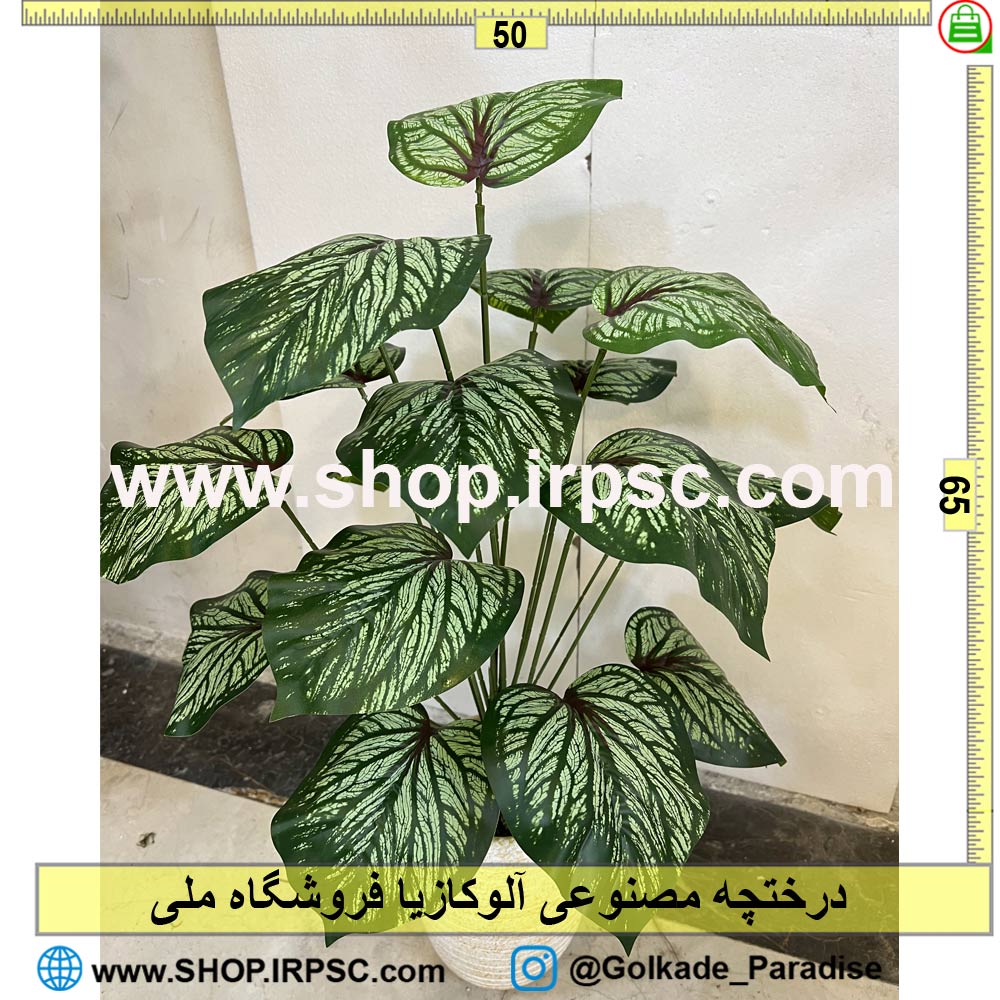 خرید درختچه مصنوعی آلوکازیا ابلق کد IRPSC009