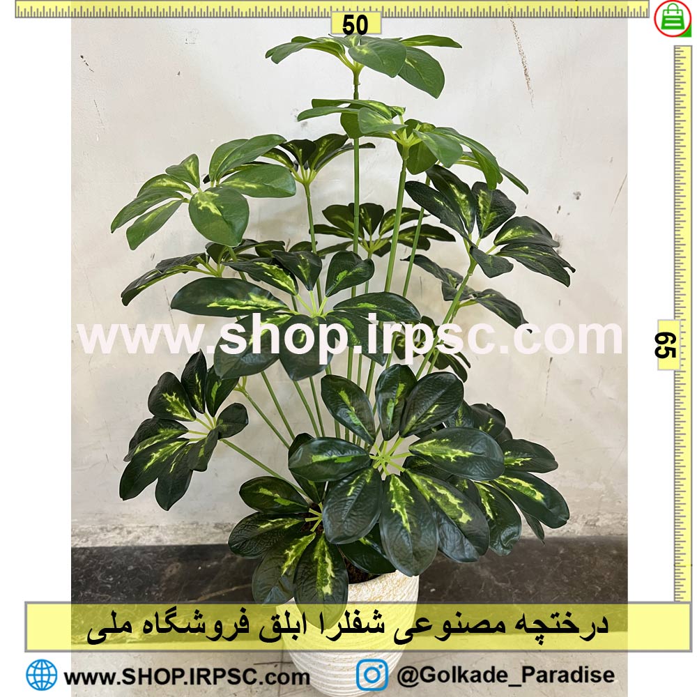 خرید درختچه مصنوعی شفلرا ابلق کد IRPSC012 