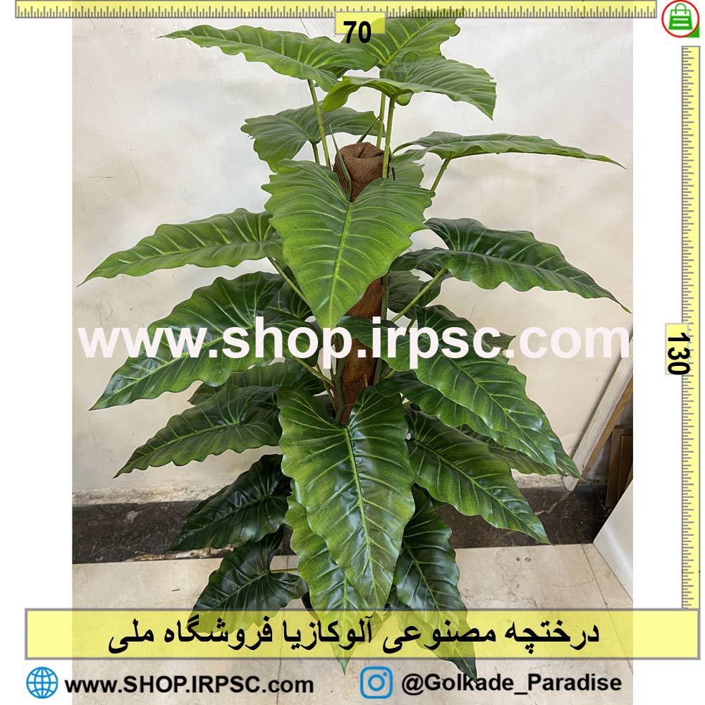 خرید درختچه مصنوعی آلوکازیا کد IRPSC003