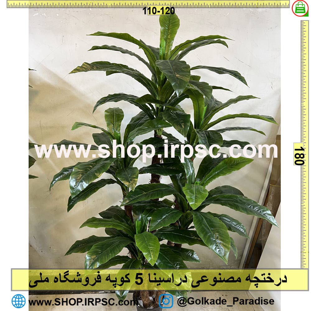 خرید درختچه مصنوعی دراسینا 5 کوپه کد IRPSC005