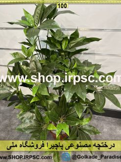 نمای بالای درختچه مصنوعی پاچیرا کدIRPSC031
