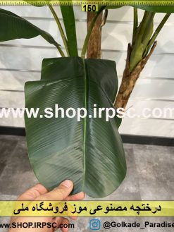 برگ درختچه مصنوعی موز کدIRPSC027